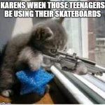 cats with guns | KARENS WHEN THOSE TEENAGERS BE USING THEIR SKATEBOARDS | image tagged in cats with guns | made w/ Imgflip meme maker