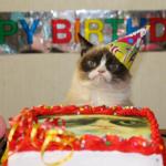 Grumpy Birthday Cat meme