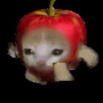 Apple Kitty template
