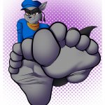 Sly Cooper Feet