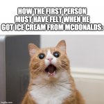 #FixbrokenIcecreammachines who's with me? lol | HOW THE FIRST PERSON MUST HAVE FELT WHEN HE GOT ICE CREAM FROM MCDONALDS: | image tagged in amazed cat,funny,mcdonalds | made w/ Imgflip meme maker