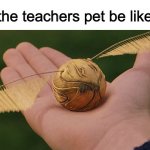 The Golden Snitch | the teachers pet be like: | image tagged in the golden snitch | made w/ Imgflip meme maker