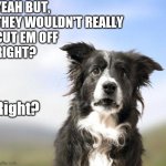 It's a ruff life | YEAH BUT, THEY WOULDN'T REALLY
CUT EM OFF
RIGHT? Right? | image tagged in surprised border collie | made w/ Imgflip meme maker