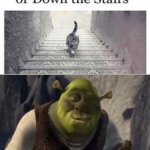 Umm... | image tagged in shrek good question,memes,funny,funny memes,cats,illusions | made w/ Imgflip meme maker