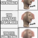 panik Panik PANIK | YOU SEE A ROACH; YOU DON'T SEE IT ANYMORE; YOU FEEL SOMETHING ON YOUR LEG | image tagged in panik panik panik | made w/ Imgflip meme maker