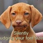 Frustrated dog | Silently judging your font size | image tagged in frustrated dog | made w/ Imgflip meme maker