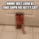 ginger fat cat | AWW! JUST LOOK AT THAT SUPA FAT KITTY CAT! | image tagged in gifs,cat,cats,fat cat | made w/ Imgflip video-to-gif maker