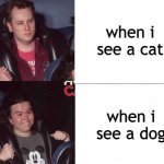 Dogs are just better, man | when i see a cat; when i see a dog | image tagged in roller coaster mood | made w/ Imgflip meme maker