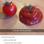 Tomato & grandpa