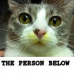The Person Below Cat meme