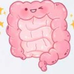 Gut meme