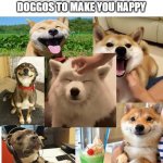 :) | JUST SOME IMMAGES OF DOGGOS TO MAKE YOU HAPPY | image tagged in meme ground | made w/ Imgflip meme maker