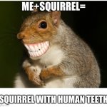 me plus squirrel | ME+SQUIRREL=; SQUIRREL WITH HUMAN TEETH | image tagged in squirrel with human teeth | made w/ Imgflip meme maker