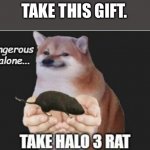 Halo 3 Rat