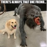 dog wolf | THERE'S ALWAYS THAT ONE FREIND... | image tagged in dog wolf | made w/ Imgflip meme maker