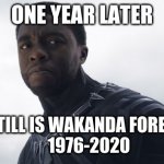 Black Panther Remembered | ONE YEAR LATER; HE STILL IS WAKANDA FOREVER!
    1976-2020 | image tagged in black panther,chadwick boseman,marvel | made w/ Imgflip meme maker