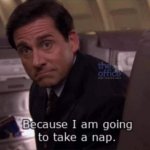 MICHAEL SCOTT, THE OFFICE, "Because I am going to take a nap"