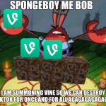 Mr. Krabs Summoning the Wither | SPONGEBOY ME BOB; I AM SUMMONING VINE SO WE CAN DESTROY TIKTOK FOR ONCE AND FOR ALL AGAGAGAGAGAGA | image tagged in mr krabs summoning the wither | made w/ Imgflip meme maker