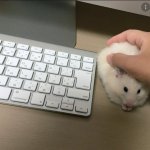 Why Isn't my Mouse working