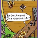 Noah constrictor