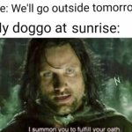 My Doggo... | image tagged in i summon you to fulfill your oath,lotr,aragorn,dogs,lord of the rings,memes | made w/ Imgflip meme maker