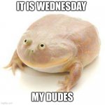 It is totally Wednesday ? | IT IS WEDNESDAY; MY DUDES | image tagged in wednesday frog blank | made w/ Imgflip meme maker