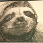 Artistic sloth