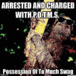 Sloth possession of too much swag deep-fried
