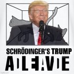 Schrodinger’s Trump meme