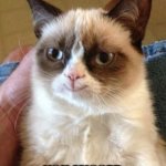 grumpyyyyyy | HEHE; YOU MISSED | image tagged in smiling grumpy cat,you dare oppose me mortal | made w/ Imgflip meme maker