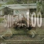 Sloth gif sneak 100 GIF Template