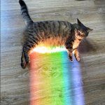 Rainbow Cat template