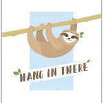 Sloth hang in there meme