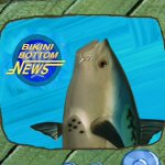 Spongebob new reporter