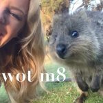 Kylie Quokka u wot m8