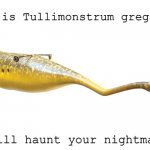 tullymonster | This is Tullimonstrum gregarium; It will haunt your nightmares. | image tagged in tullymonster | made w/ Imgflip meme maker