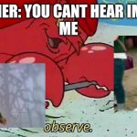 Ree | TEACHER: YOU CANT HEAR IMAGES
ME | image tagged in observe | made w/ Imgflip meme maker