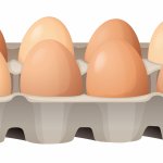 Eggs clipart