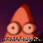 What kind of curses did you just bring upon this wretched soil meme