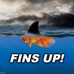 fins | FINS UP! | image tagged in fins | made w/ Imgflip meme maker