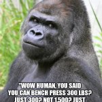 If apes could speak... | IF GORILLAS COULD TALK, WOULD THEY BE CONDESCENDING? "WOW HUMAN, YOU SAID YOU CAN BENCH PRESS 300 LBS? JUST 300? NOT 1,500? JUST 300 HUH? DON'T GET ME WRONG, THAT'S PROBABLY A LOT FOR HUMANS." | image tagged in gorilla,strength,how rude | made w/ Imgflip meme maker