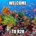 Great Barrier Reef | WELCOME; TO R2R | image tagged in great barrier reef | made w/ Imgflip meme maker