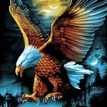 eagle