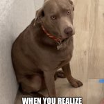 I Once Made the Same Face…Over My Wife… | THAT FACE YOU MAKE; WHEN YOU REALIZE YOUR HUMAN IS AN ALCOHOLIC AND YOU DO NOT APPROVE | image tagged in realization dog,memes,funny,cute dog,loryn powell,white claw | made w/ Imgflip meme maker