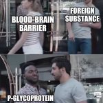 Science | FOREIGN SUBSTANCE; BLOOD-BRAIN BARRIER; P-GLYCOPROTEIN | image tagged in guy blocking guy | made w/ Imgflip meme maker