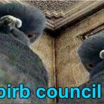 The beeg birb council hated that meme