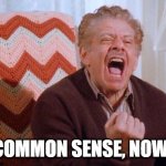 Common Sense NOW! | COMMON SENSE, NOW! | image tagged in frank costanza | made w/ Imgflip meme maker