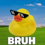 the meme duck