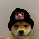 hehehehe | image tagged in dogwifhat,well yes but actually no | made w/ Imgflip meme maker