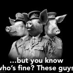 War pigs are fine meme